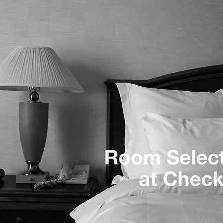Lavina Hotel 4*
